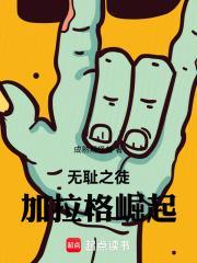 无耻之徒加拉格崛起篱笆好