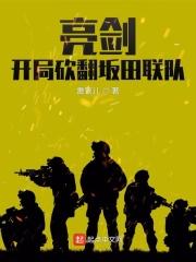 亮剑击溃坂田联队是哪一集