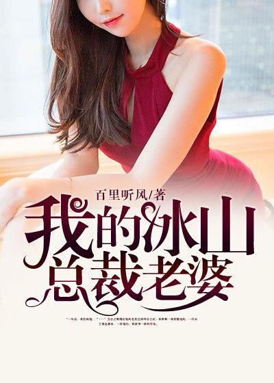 我的冰山总裁老婆杨辰