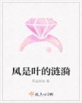 此生因你空欢喜苏若云免费阅读