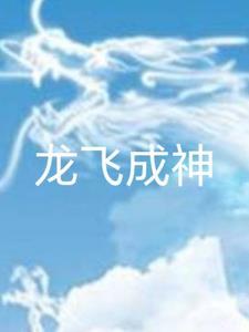主角叫龙飞的