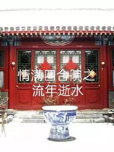 情满四合院第1集