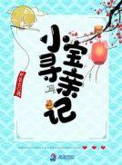 小宝寻亲记免费观看高清