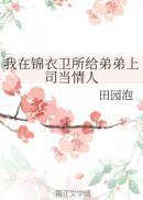 我在锦衣卫打工的日子百科