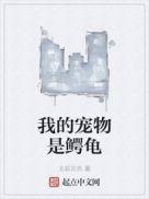 我的宠物是鳄龟作文