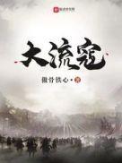 大流寇全本TXT