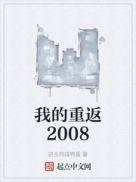 我的重返2008 笔趣