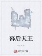 幕后之王2