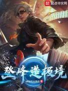 登峰造极境的后一句