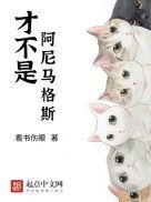 霍格沃茨的猫头鹰送信图片