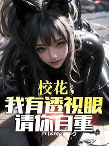 赌石鉴宝师