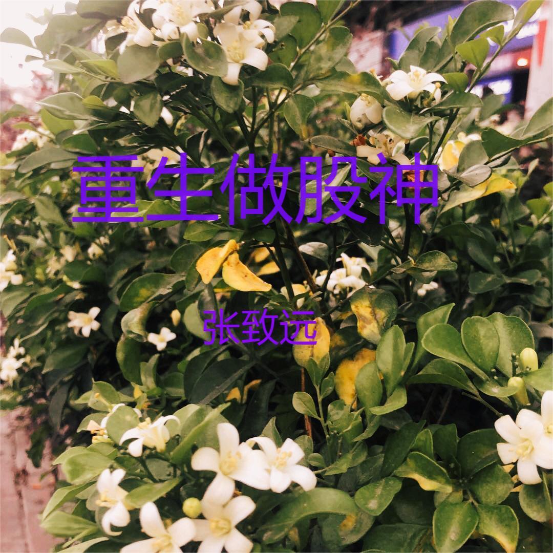 重生金融之巨头