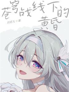 苍穹战线下的黄昏AR-619