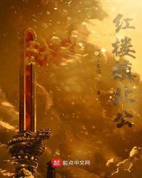 红楼镇北公最新章节笔趣阁
