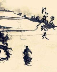 踏星武天