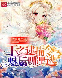 王之逮捕令魅后哪里逃txt