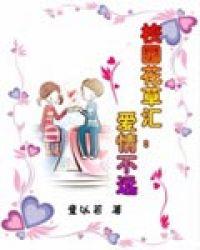 爱情不远破解版