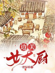 边关小厨娘精品网