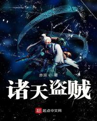 诸天盗贼系统