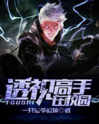 透视高手笔趣阁无弹窗