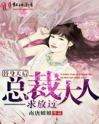 总裁大人的替身前妻电视剧