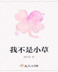 我不是仿写
