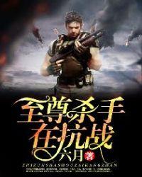 至尊杀手1991