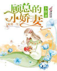 顾总宠妻指南
