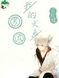 我的犬系男友漫画全集