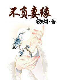 不负妻缘全文TXT百度