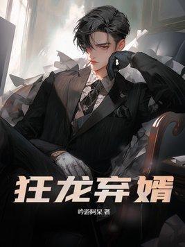 免费阅读狂龙赘婿