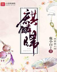 麒麟归来全部剧集