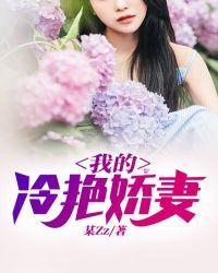 我的冷艳娇妻是间谍黑邪武