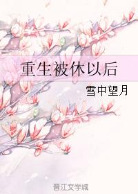重生被休以后遇见摄政王的