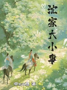 电视剧沈家大院简介
