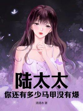 陆太太要个二胎吧免费阅读