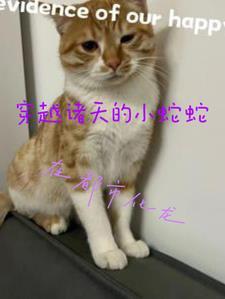 诸天从穿越龙蛇开始