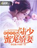 陆少新婚宠妻