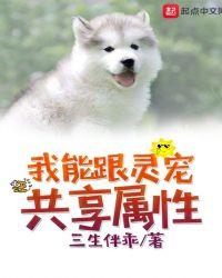 我能跟灵宠共享属性的