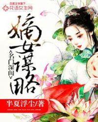 名门谋略电视连续剧