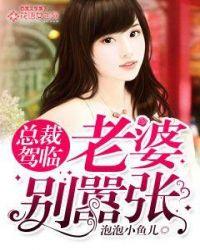 老婆别想逃全文免费阅读最新