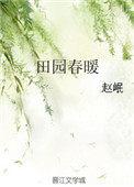田园春暖讲的是什么故事