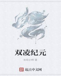 双凌科技有限公司