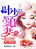 叶少的娇宠甜妻(不欢而遇)
