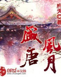 盛唐风月主角几个老婆