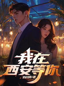 我在西安等你全文