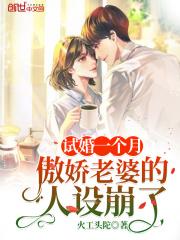 傲娇总裁的试婚新妻