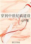 穿到中世纪搞建设免费阅读