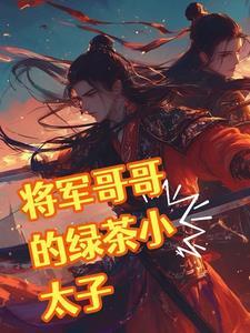 将军和他的姨太太电视剧简介