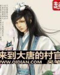 从大唐当村长开始